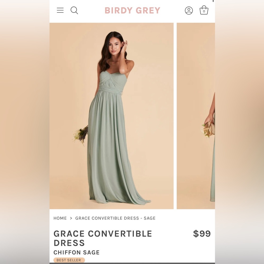 Birdy grey sage chiffon dress